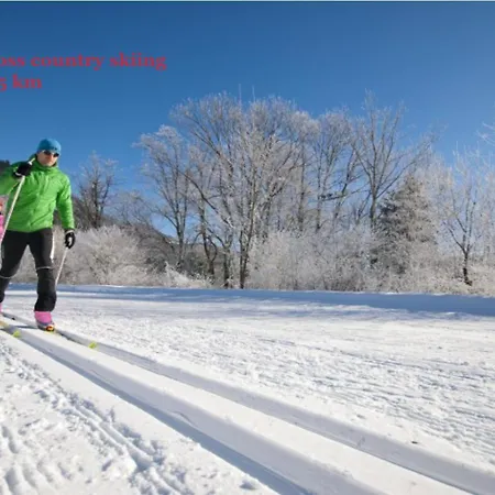 Apartman Quartier No. 7 - Serviced Living Grödig