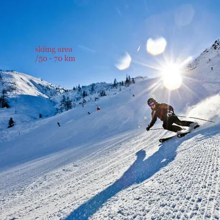 Apartman Quartier No. 7 - Serviced Living